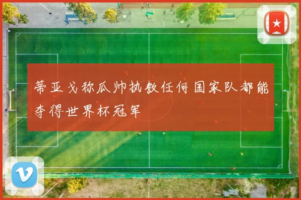 蒂亚戈称瓜帅执教任何国家队都能夺得世界杯冠军